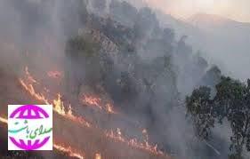 آتش‌ سوزی منطقه حفاظت شده دیل در گچساران مهار شد.
