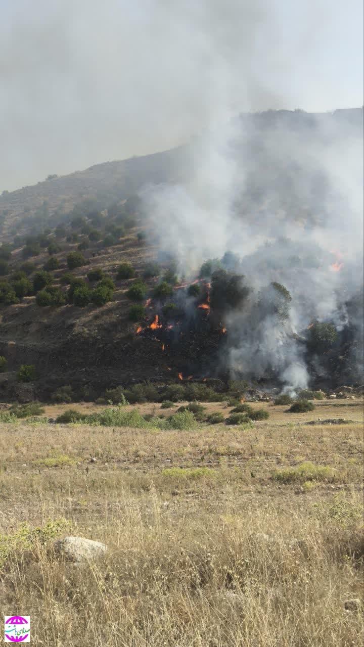 مدیر جهاد کشاورزی شهرستان باشت خبر داد, : آتش سوزی بیش از۳۰ هکتار از باغ‌های مرکبات روستاهای شوش سفلی وشوش علیا را از بین برد