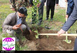 کاشت ۱۰ هزار اصله نهال توسط شهروندان در طرح «درختی برای فردا»