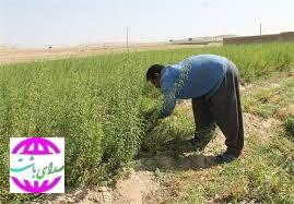اقتصاد مقاومتی؛ راه نجات از وابستگی، حلقه مفقوده در توسعه بومی کهگیلویه و بویراحمد