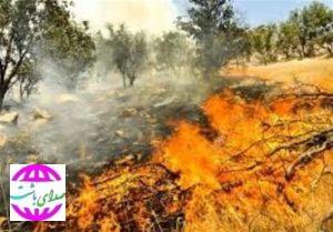 فرماندار باشت: درخواست بالگرد آب‌پاش برای مهار آتش در کوه های پیجاب باشت