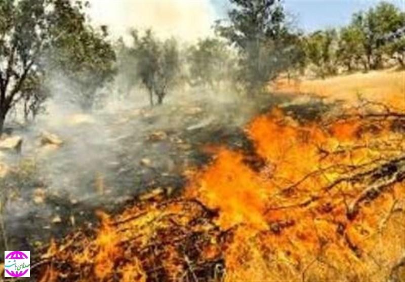 فرماندار باشت: درخواست بالگرد آب‌پاش برای مهار آتش در کوه های پیجاب باشت