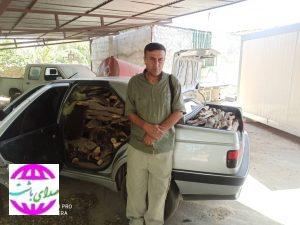 شوتی حرفه‌ای قاچاق چوب جنگلی در گچساران به دام افتاد