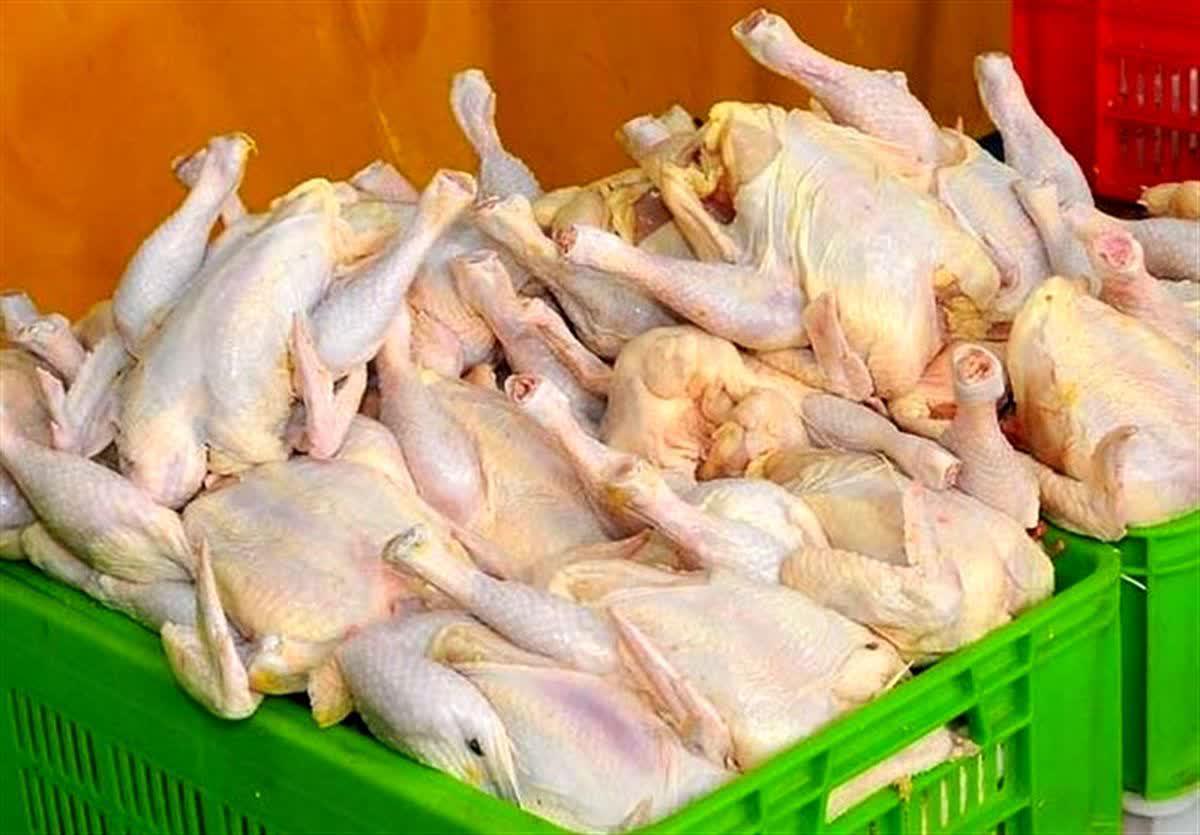 در سایه ضعف نظارتی مسئولان قیمت مرغ به مرز ۳۶ هزار تومان رسید.