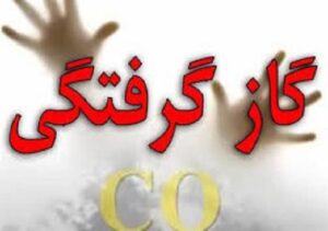 مرگ ۲ نفر بر اثر گاز گرفتگی در کهگیلویه و بویراحمد