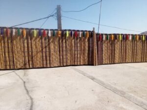 کودکانی که وارث صنایع دستی منسوخ نی‌چیت بافی شده اند.