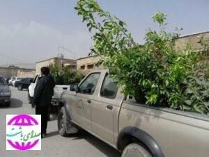 ۲۰۰ اصله نهال بصورت رایگان بین نمازگزاران در میعادگاه نماز جمعه شهرستان باشت توزیع شد.