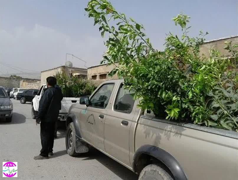 ۲۰۰ اصله نهال بصورت رایگان بین نمازگزاران در میعادگاه نماز جمعه شهرستان باشت توزیع شد.