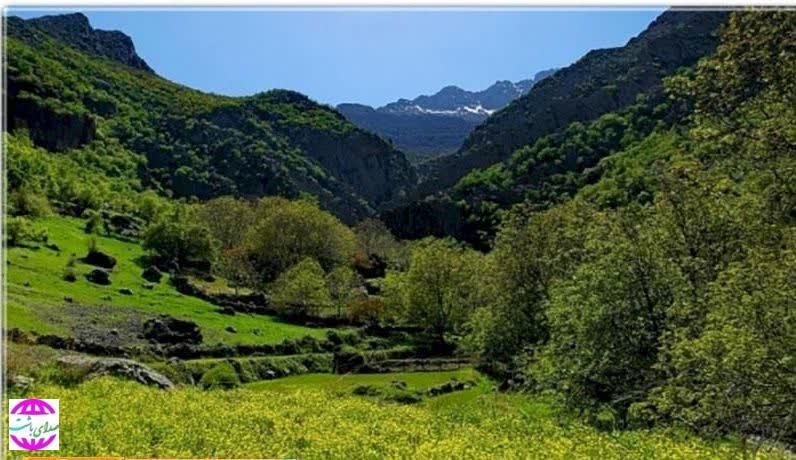 باشت‌ یکی از شهرستان‌های تاریخی و گردشگری استان کهگیلویه و بویراحمد است.