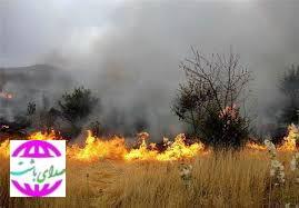 به همت نیروهای شهرداری باشت مهار آتش سوزی در روستای های شادگان و شا ه بهرام صورت گرفت / فیلم