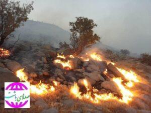 تازیانه آتش سرخ بر طلای سبز