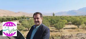 عبور سریع فیبرنوری ازسنگ منگ/کاکان به اینترنت پرسرعت جهانی متصل می شود.
