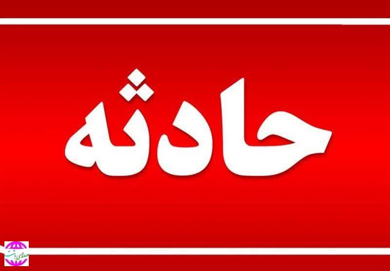 گازگرفتگی در بویراحمد قربانی گرفت.