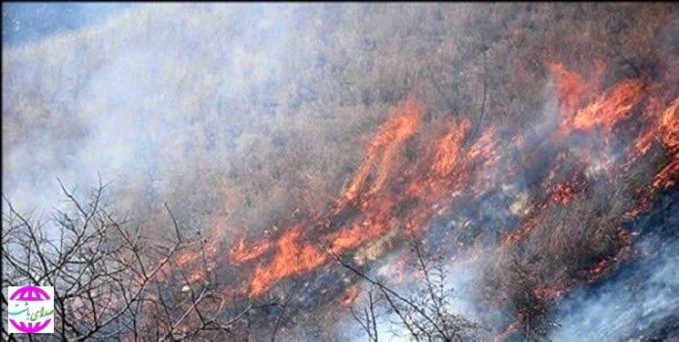 جنگل‌ها و مراتع منطقه حفاظت شده خامی باشت دوباره آتش گرفت