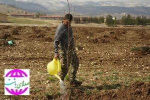 کاشت ۱۵۰۰ اصله درخت به همت تیپ ۴۸ فتح کهگیلویه و بویراحمد