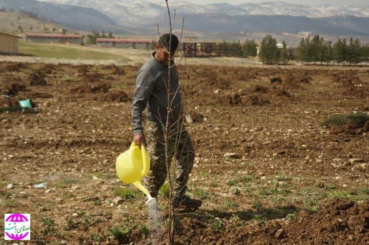 کاشت ۱۵۰۰ اصله درخت به همت تیپ ۴۸ فتح کهگیلویه و بویراحمد