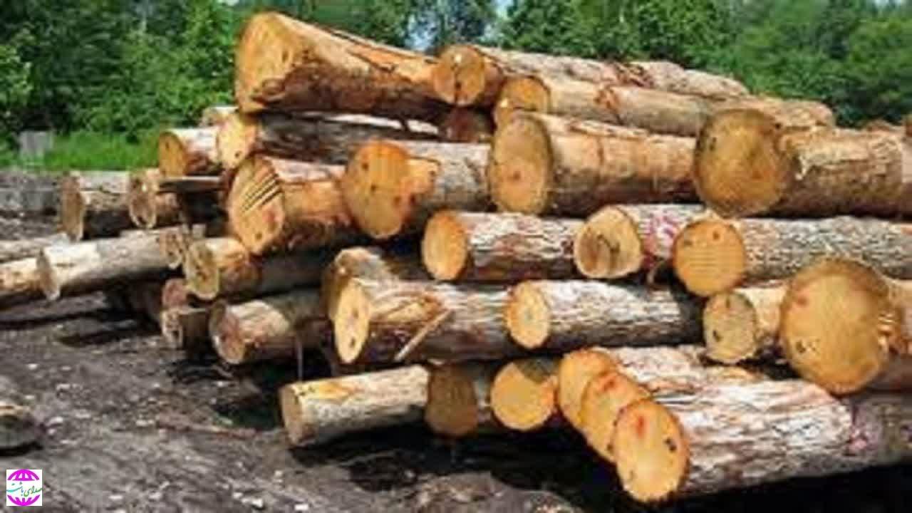 محموله ۸ تنی قاچاق چوب به مقصد نرسید.