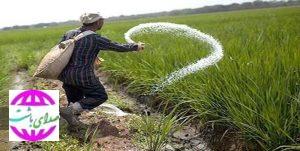 اختصاص سه نوع کود یارانه‌ای به کهگیلویه و بویراحمد