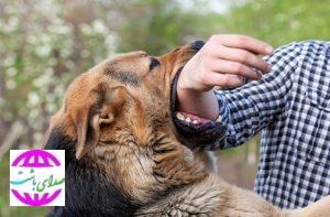 آقای شهردار وقت چاره نیست!؟