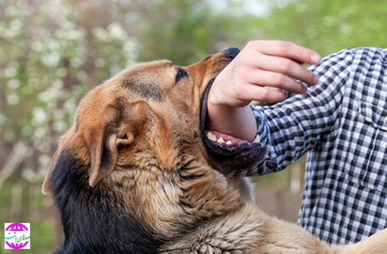 آقای شهردار وقت چاره نیست!؟