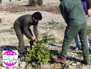 اجرای حکم قلع و قمع در ۴۶۳۱ متر مربع از اراضی ملی شهرستان گچساران