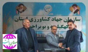 انتصاب امیدوارکننده در سازمان جهاد کشاورزی کهگیلویه و بویراحمد/معاون بهبود تولیدات گیاهی منصوب شد