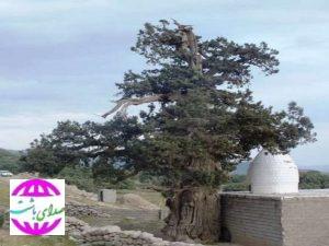 روستای باستانی لار؛ آمیختگی با طبیعت و افسانه و تاریخ