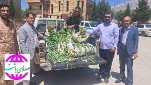 رئیس اداره منابع طبیعی و آبخیزداری شهرستان بویراحمد خبر داد: توقیف محموله های چوب قاچاق و گیاهان مرتعی غیر مجاز
