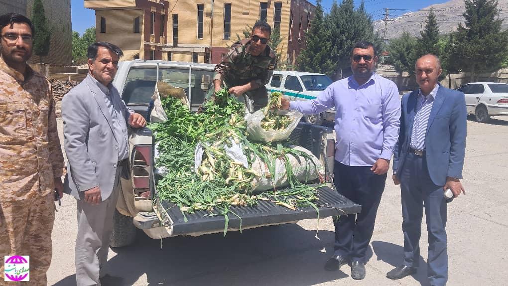 رئیس اداره منابع طبیعی و آبخیزداری شهرستان بویراحمد خبر داد: توقیف محموله های چوب قاچاق و گیاهان مرتعی غیر مجاز