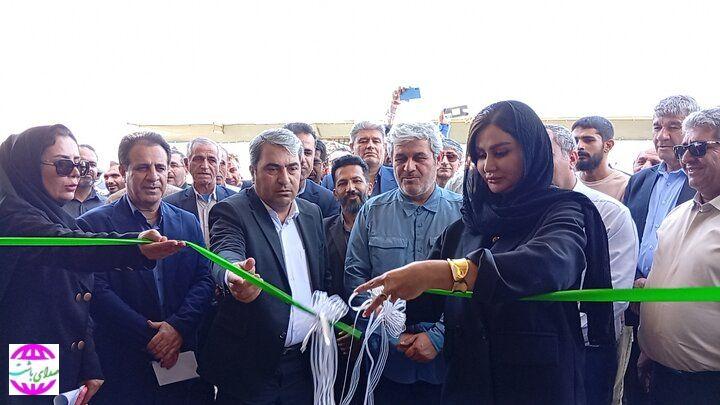 بهره برداری از طرح پرواربندی ۵۰۰ راسی در باشت