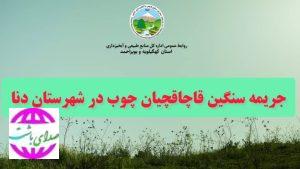 جریمه سنگین قاچاقچیان چوب در شهرستان دنا