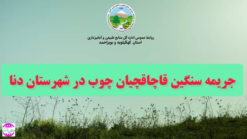 جریمه سنگین قاچاقچیان چوب در شهرستان دنا