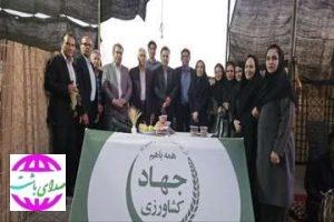 رییس سازمان جهاد کشاورزی استان:   «دنا، قطب تولید سیب و انگور کهگیلویه و بویراحمد است»
