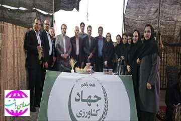 رییس سازمان جهاد کشاورزی استان:   «دنا، قطب تولید سیب و انگور کهگیلویه و بویراحمد است»
