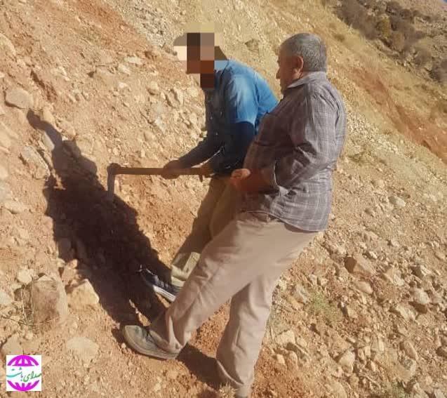 رأی سبز دادگاه در یاسوج؛ کاشت بوته و‌ گیاه به جای حبس برای متهمان