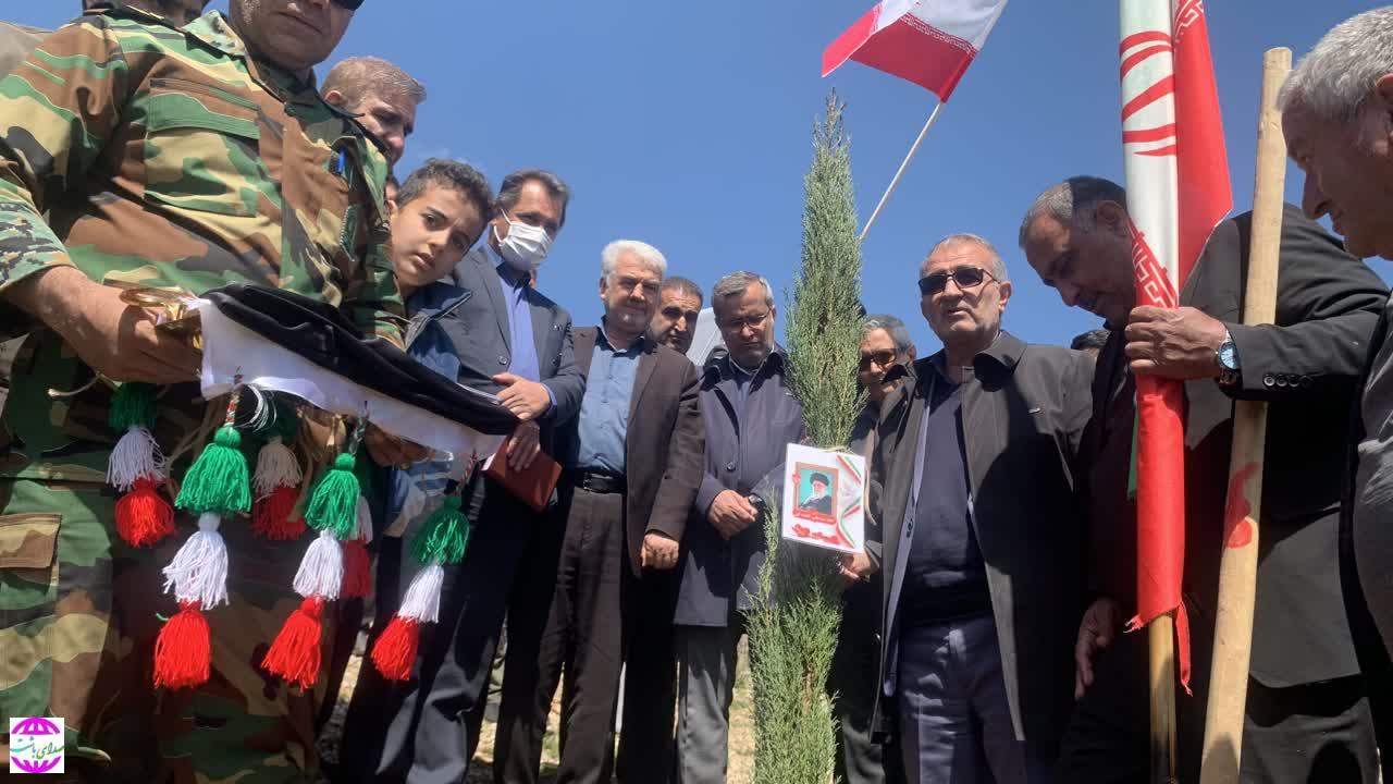 پویش باشکوه درختکاری سرو ایران در کهگیلویه و بویراحمد