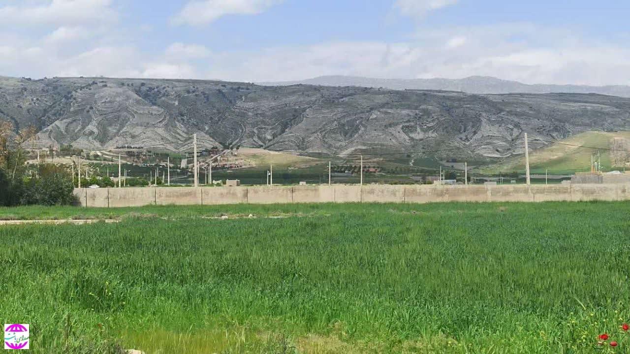 مدیر جهاد کشاورزی باشت:  پیش بینی برداشت بیش از ۱۵ هزار تن گندم در باشت