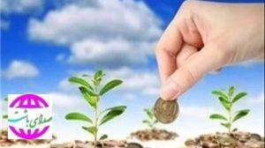 مدیر جهاد کشاورزی باشت خبر داد: پرداخت بیش از ۵۱ میلیارد تومان تسهیلات برای توسعه بخش کشاورزی باشت