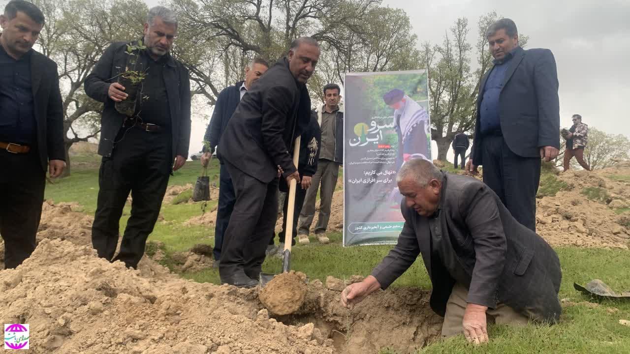 کاشت ۶۵ هزار اصله نهال امید در کهگیلویه و بویراحمد