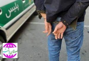 بازداشت مدیرعامل یک مؤسسه مالی با ۱۳ هزار شاکی