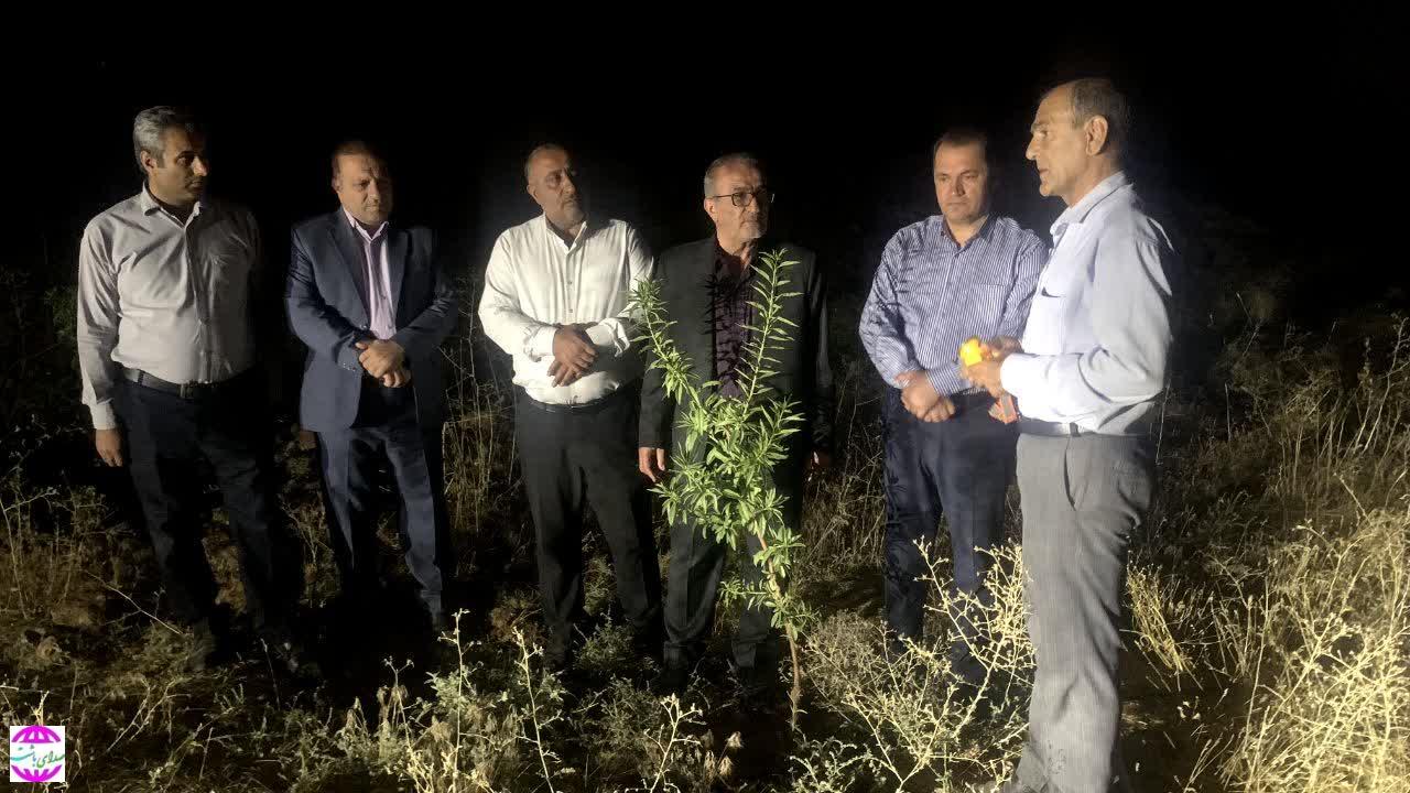 دومین روز از هفته دولت کهگیلویه و بویراحمد سبز شد