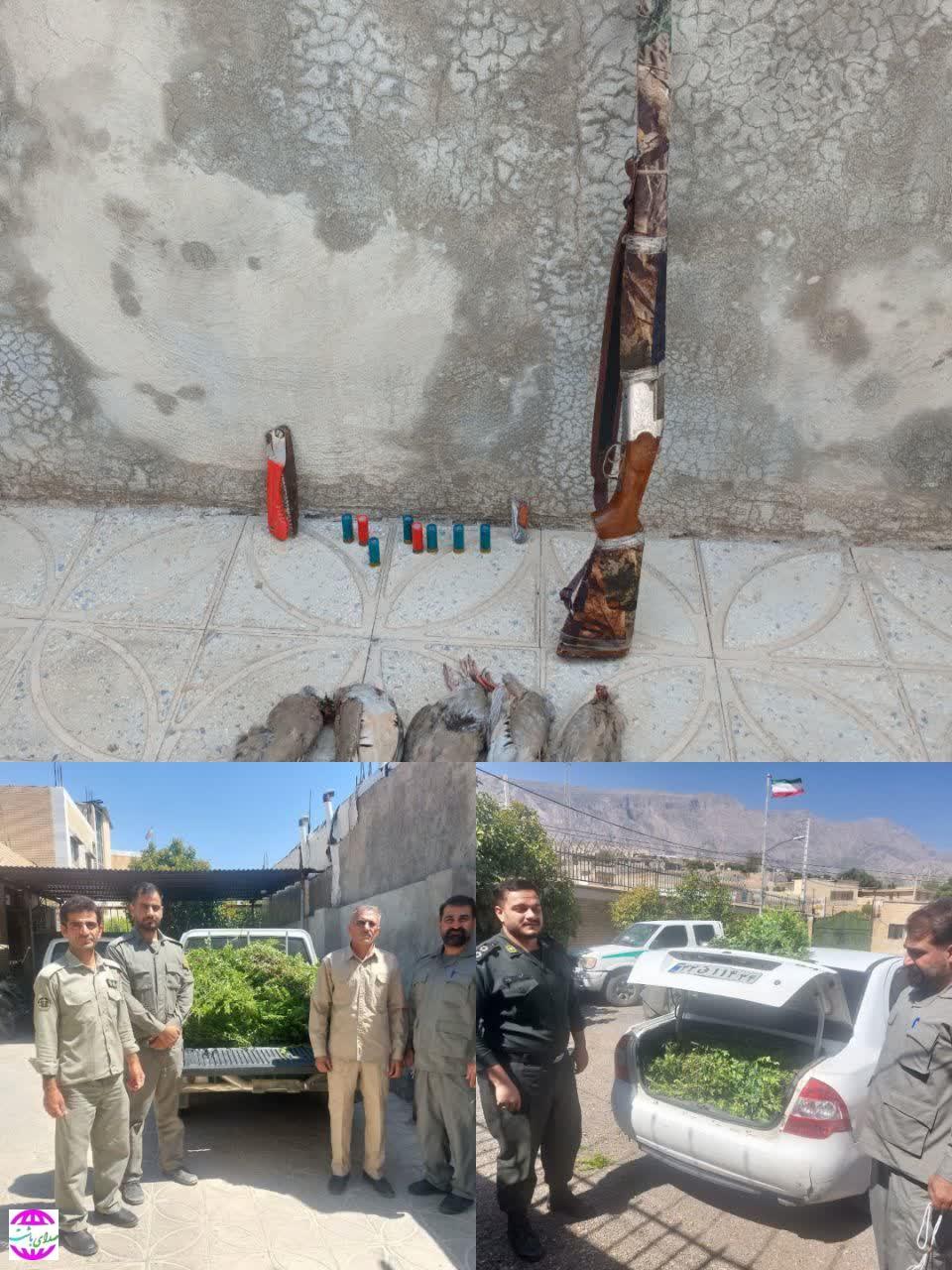 شکارچی متخلف کبک  در شهرستان باشت دستگیر شد