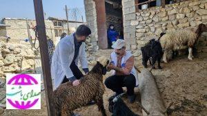 همزمان با هفته دامپزشکی، اردوی جهادی دامپزشکی در روستای «آبدهگاه» شهرستان باشت برگزار شد